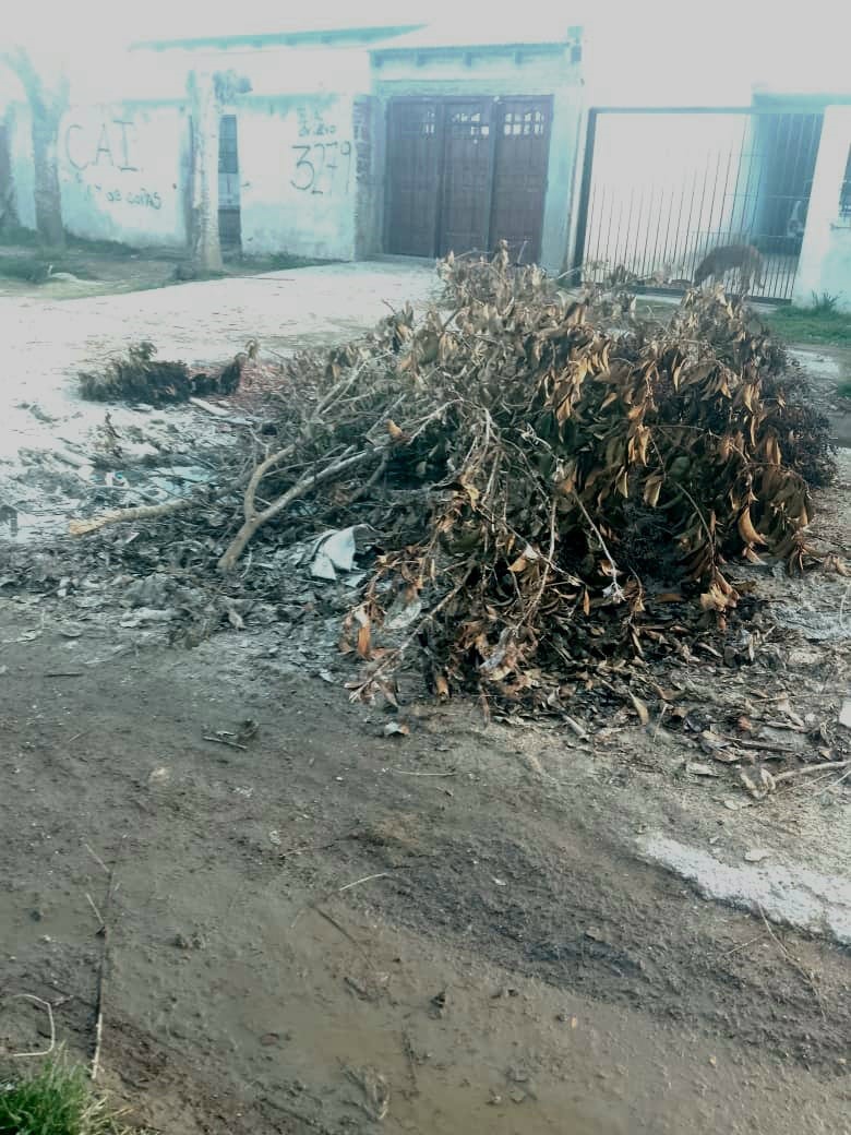 Bochornoso: Así los vecinos advierten que la calle está impasable en Villa Elvira