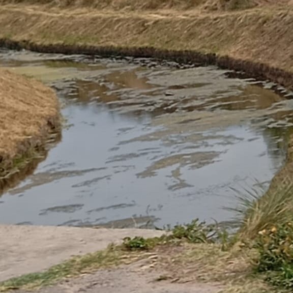 Fuerte olor a cloacas en la zonas cercanas al arroyo Maldonado