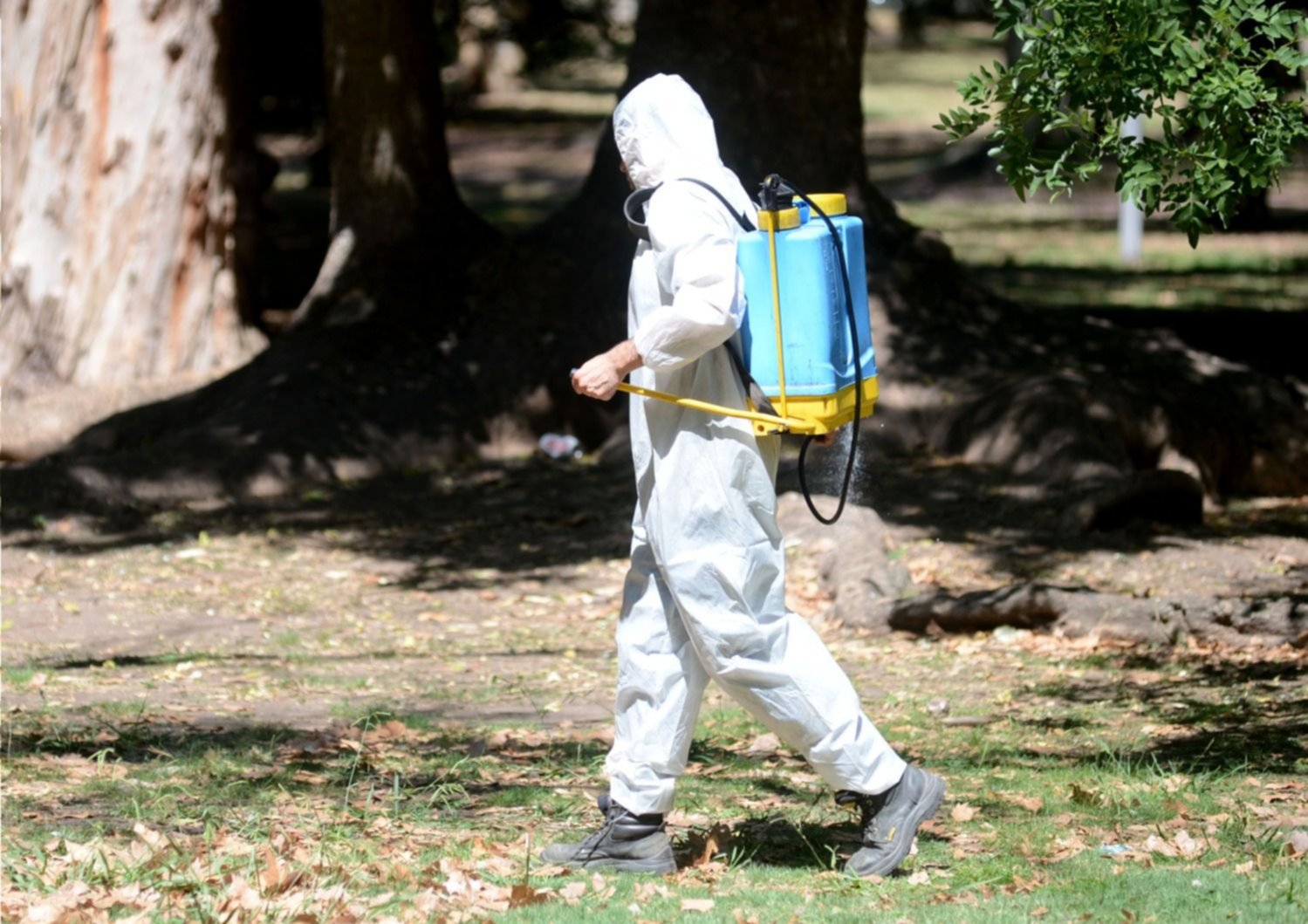 Vecinos apuran por trabajos de fumigación: temor por la llegada del mosquito del Dengue