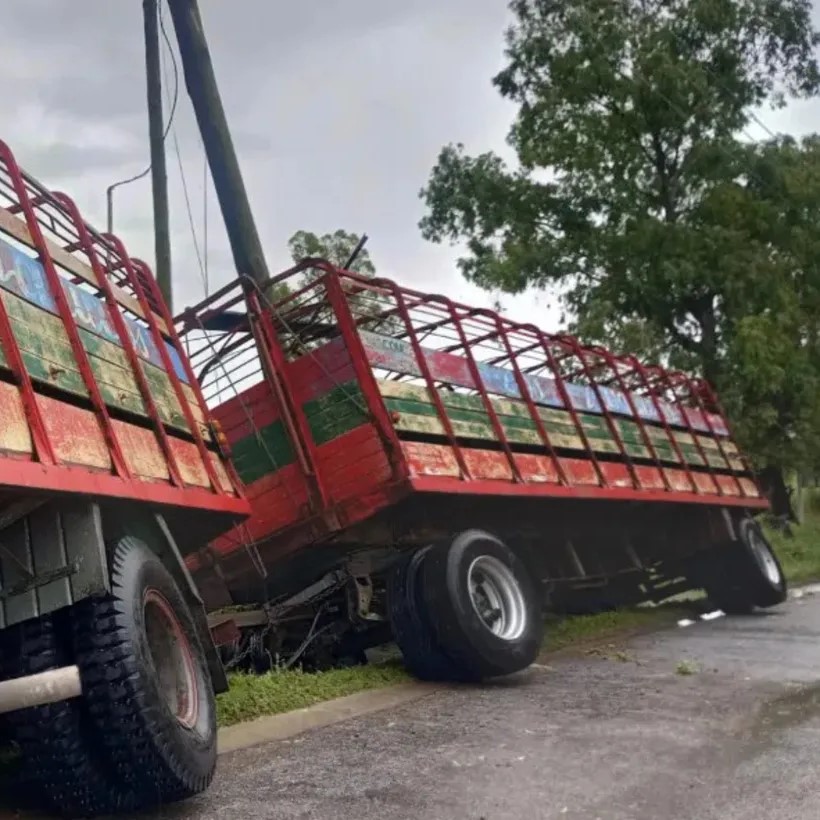 Volcó camión con vacas en Parque Sicardi