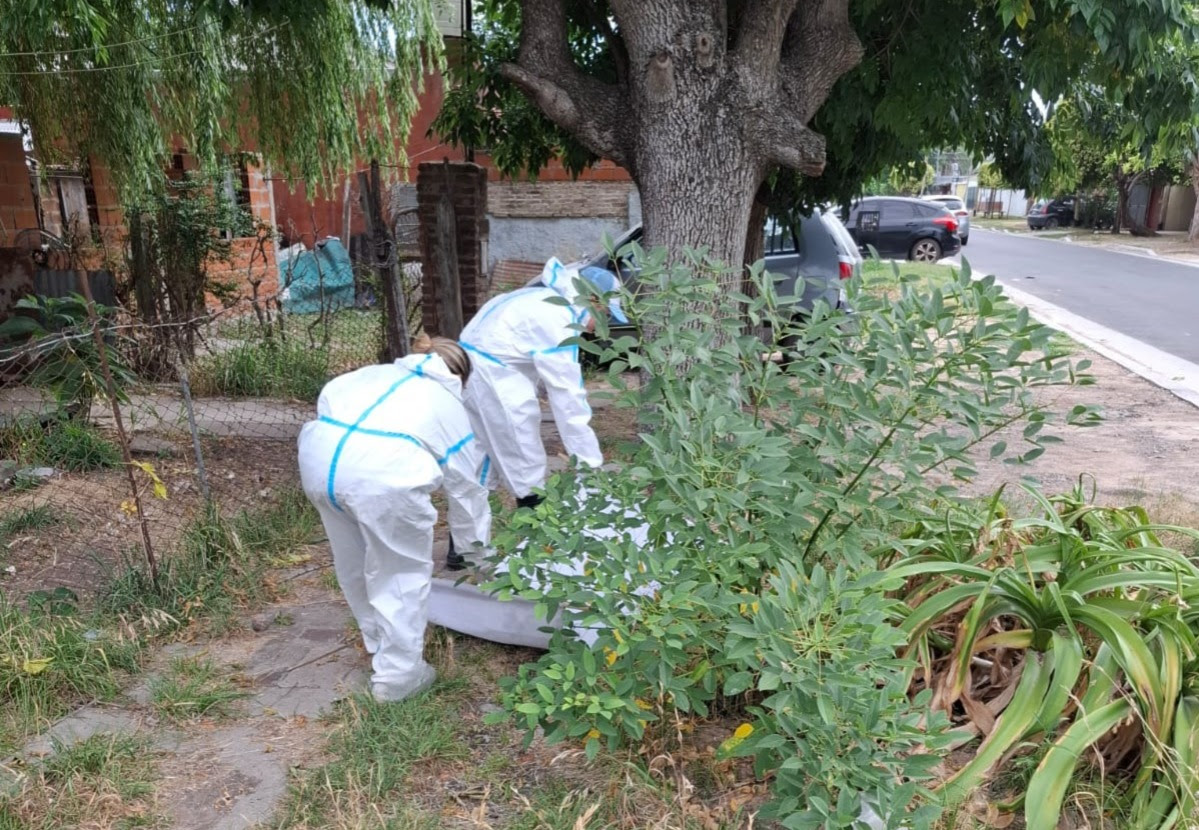 Los Hornos: Municipio y Provincia desplegaron un operativo de fumigación