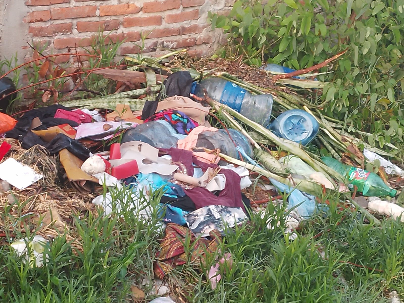 Volvió un viejo basural que estaba desterrado