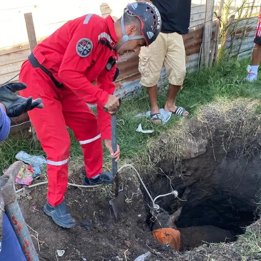 Altos de San Lorenzo: Un caballo se cayó adentro de un pozo y fue rescatado por Bomberos