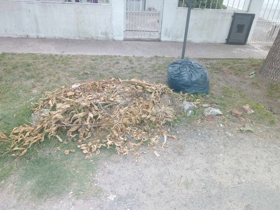 La Municipalidad sigue sumado reclamos en Villa Elvira