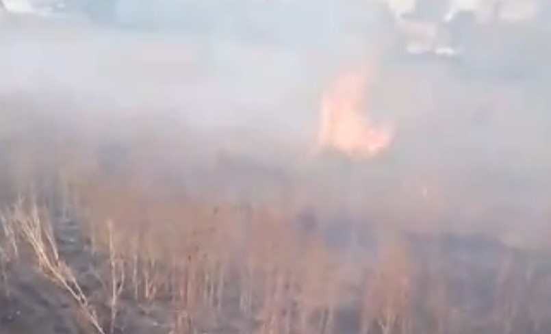 Incendios forestales en Barrio Aeropuerto