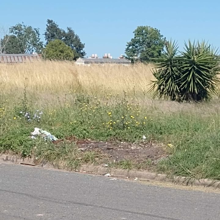 Un barrio que pasó al olvido pide a gritos ser atendido