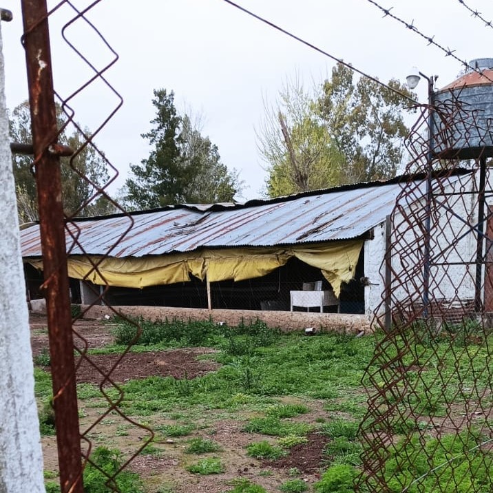 Poco a poco desmantelan una Escuela Agraria en Abasto