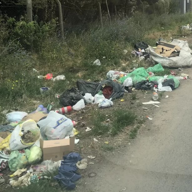 Vecinos acusan a carreros de transportar basura de un lado a otro