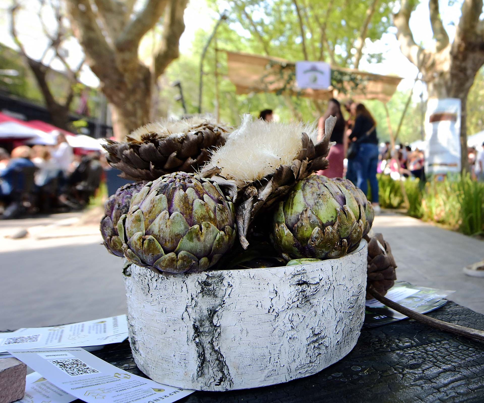 Vuelve la Fiesta del Alcaucil a Meridiano