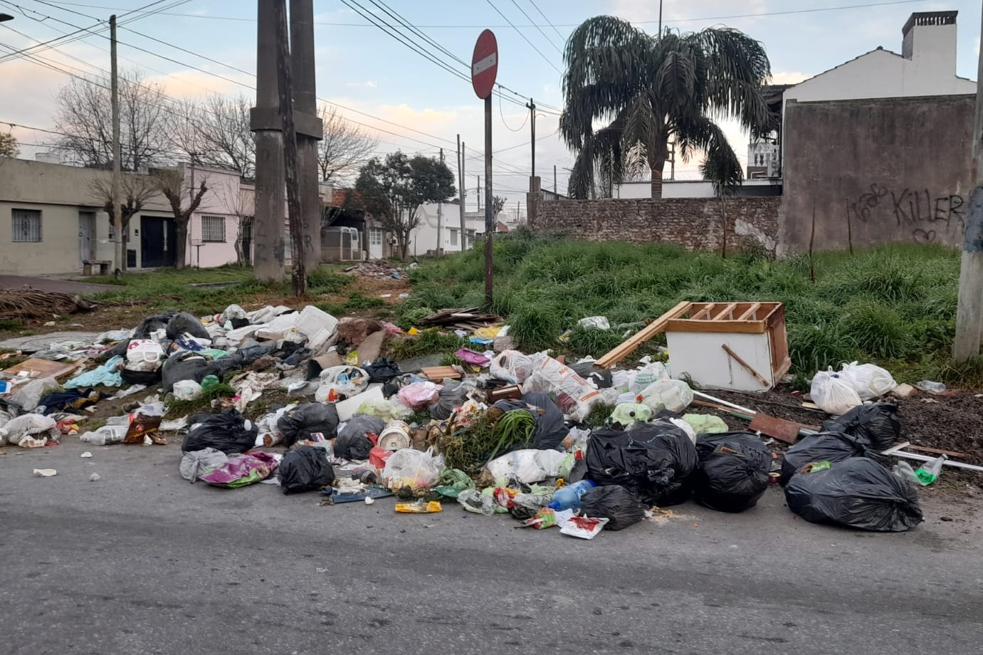 Bochornoso basural provocado por vecinos que la MLP no puede resolver