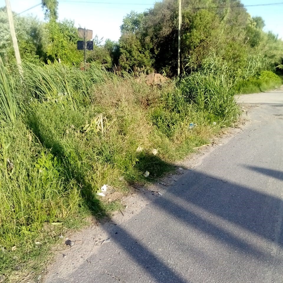 Reclamo de corte de pasto y limpieza en un barrio local