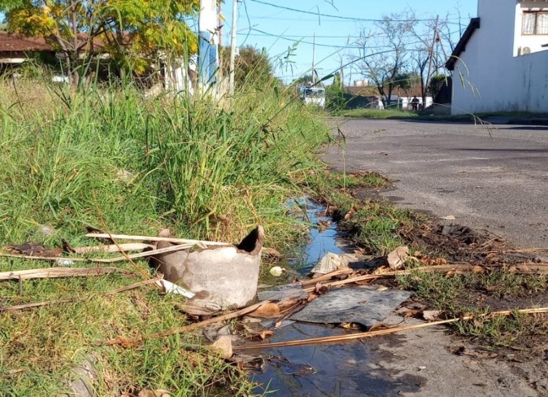 Agua, verdín y pasto crecido en el camino