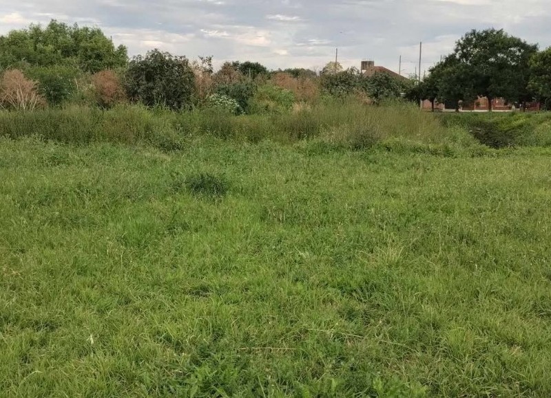 Predio que era utilizado por los chicos del barrio junto al Arroyo Monasterio