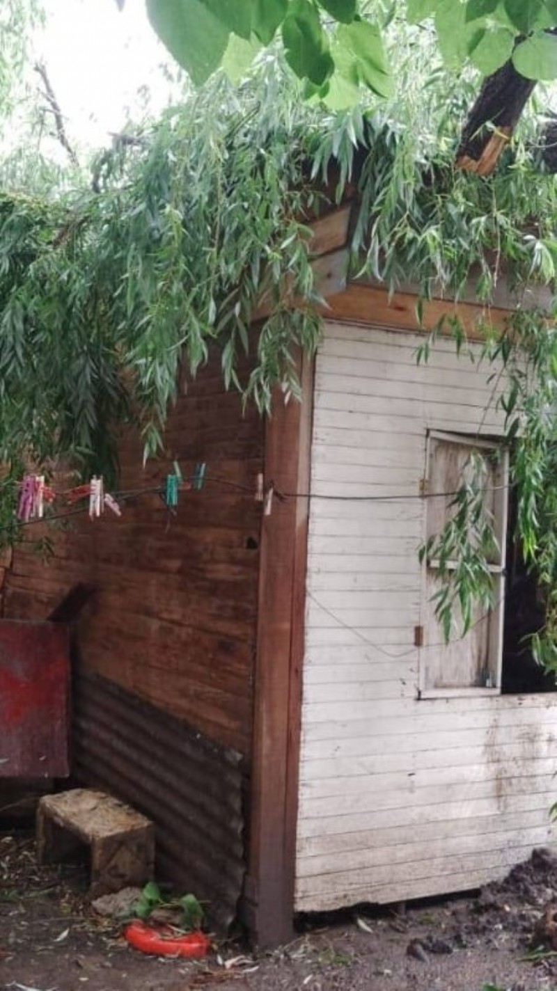 Casilla de Altos de San Lorenzo con un árbol encima