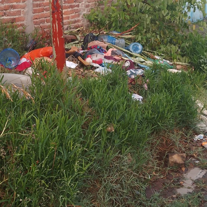 El pasto ganó la calle y crece en el asfalto por la falta de barrido y limpieza por parte de la Comuna