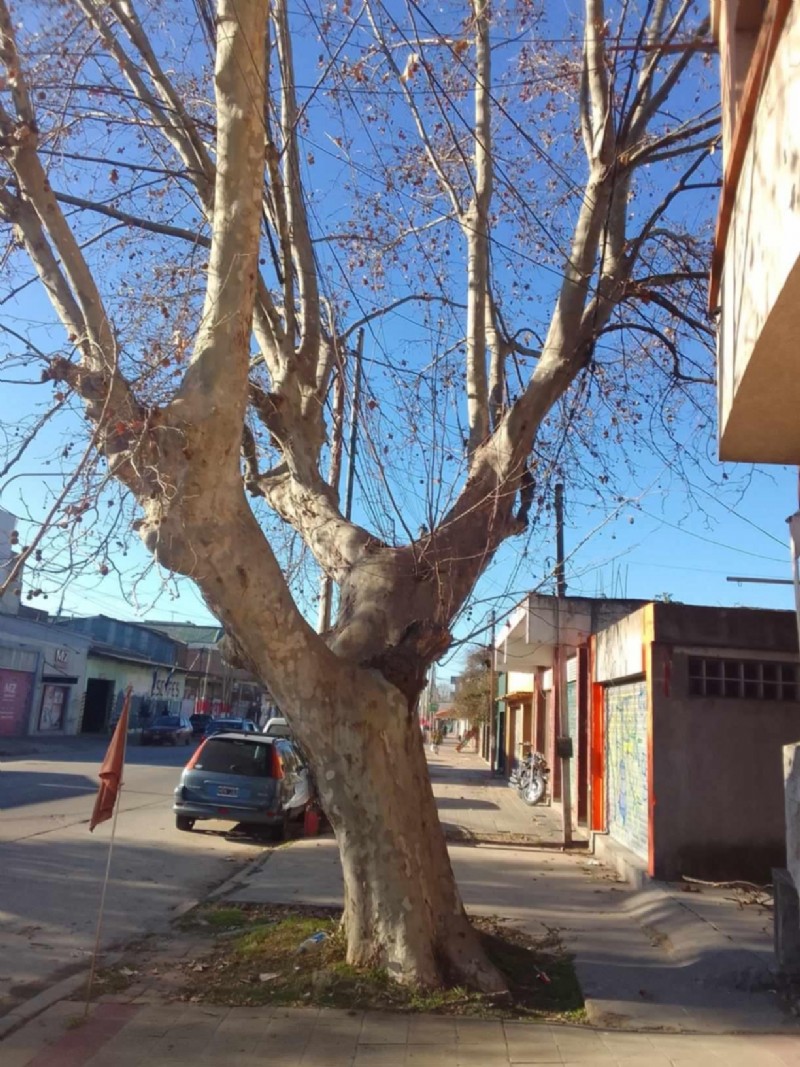 Cuatro años de Molla y dos de Barbier en el Concejo, más 8 años de Garro: nunca lo habían visto