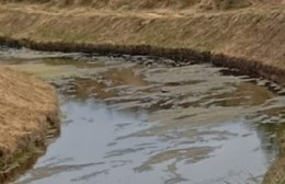 Fuerte olor a cloacas en la zonas cercanas al arroyo Maldonado