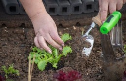 Se viene una completa agenda de actividades al aire libre para conectar con la naturaleza en vacaciones