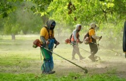 Con operativos integrales en los barrios, la Municipalidad avanza con el plan de fumigación