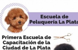 Escuela de peluquería Canina La Plata: cursos con salida labural