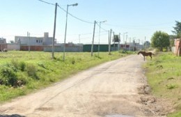 Quejas por los basurales de la 630