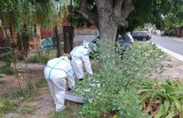 Los Hornos: Municipio y Provincia desplegaron un operativo de fumigación