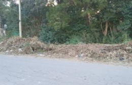 La imagen del abandono: Más de un mes sin que levanten la basura no habitual