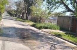 Brota el agua en las calles de Villa Elvira