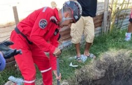 Altos de San Lorenzo: Un caballo se cayó adentro de un pozo y fue rescatado por Bomberos