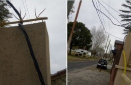 Increíble: Le ataron el cable de electricidad a la reja de la casa