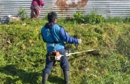 Trabajadores de cooperativas llevan casi una semana sin cobrar sus sueldos