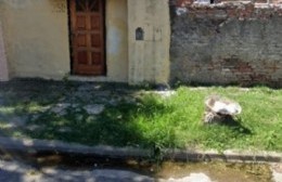 No arreglan pérdida en 2 bis entre 76 y 77: Un barrio entero está casi sin agua y sin presión domiciliaria