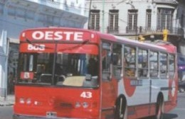 El transporte público de pasajeros será gratuito en La Plata el domingo de elecciones