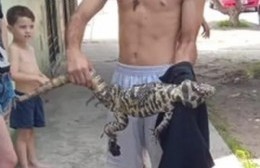 Encontraron un lagarto en la cuadra del Lujan Sierra