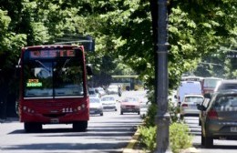 Micros, basura y servicios: Así funcionarán el feriado