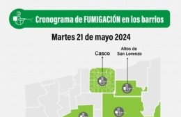 Fumigan para prevenir el dengue en La Plata: las tareas de este martes