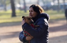 Otorgan turnos para la castración gratuita de perros y gatos