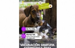 Vuelve a repetir vacunación de mascotas en Arana