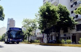 Elecciones 2023: el transporte público funcionará de manera gratuita en la ciudad