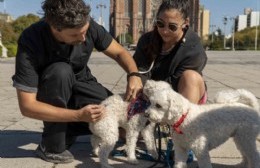 Vacunación veterinaria en barrios platenses: Hoy en 2 entre 80 bis y 81 desde las 14