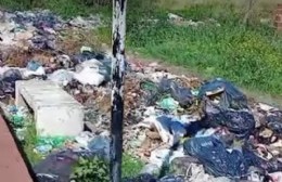 Vecinos inescrupulosos llenaron de basura Puente de Fierro que fue recuperado por la Delegación