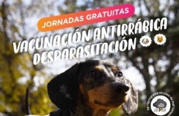 Vacunación de perros y gatos en el oeste platense