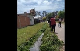 Trabajos de limpieza en el Barrio Frisón