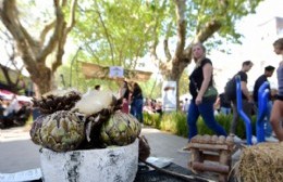 Alcachofas platenses tiene todo listo para volver con la fiesta del alcaucil a Meridiano