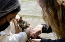 Vacunación y desparasitación de mascotas en Altos