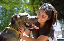 Estos serán los puntos de vacunación gratuita de animales en la ciudad