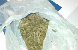 Villa Garibaldi: seis detenidos por tenencia de marihuana